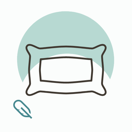 [500] Oreiller plumes